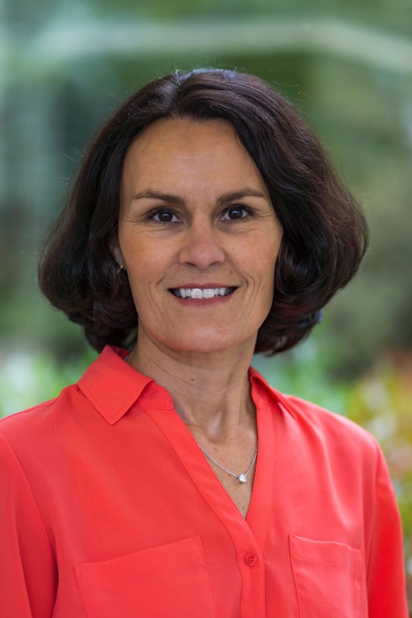 Ann-Collins